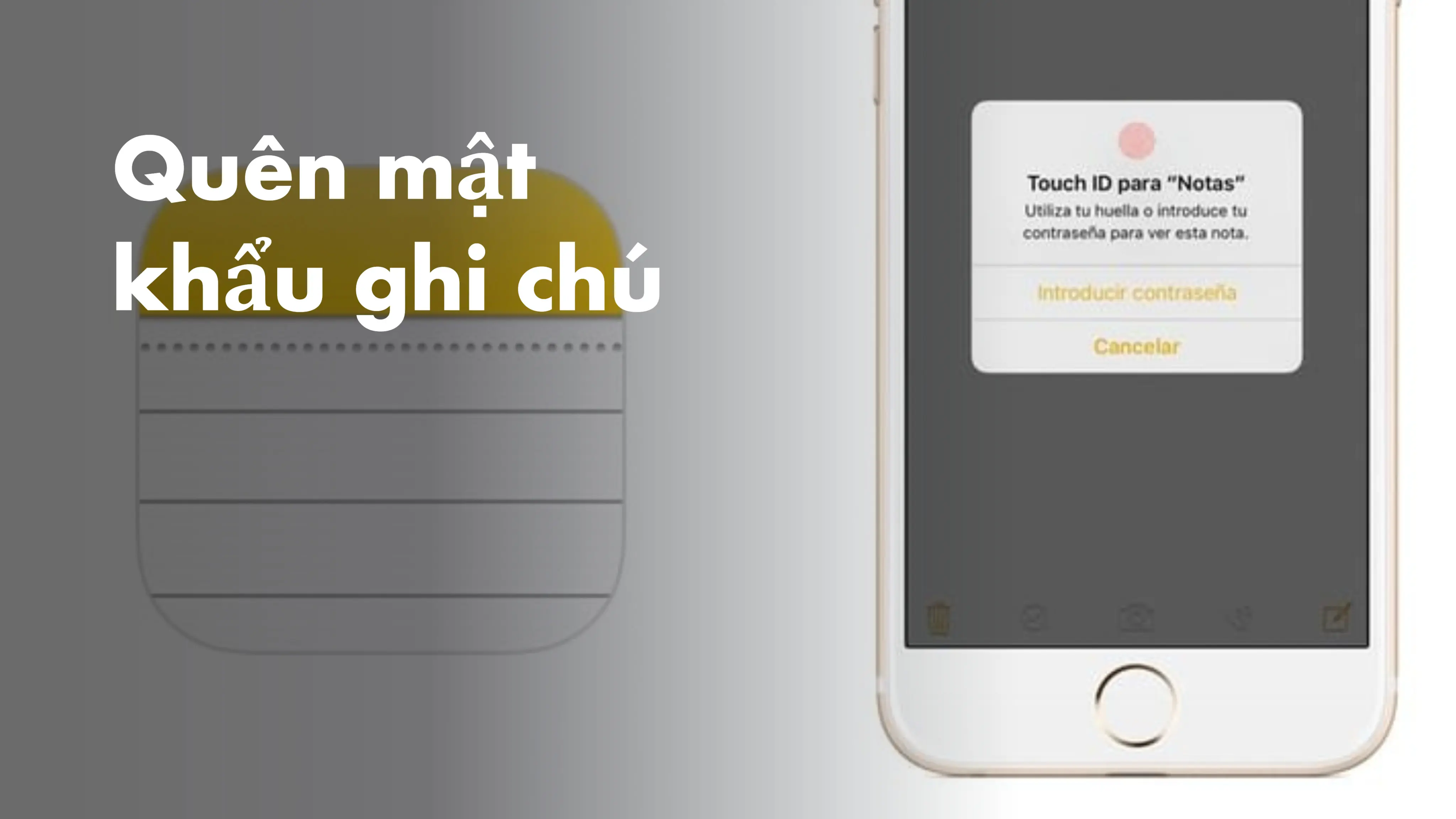 Cách mở mật khẩu Ghi Chú trên iPhone khi quên